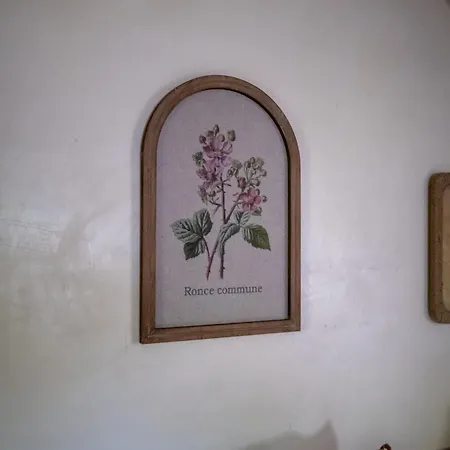 Tatil Evi Ferme Bourdasse